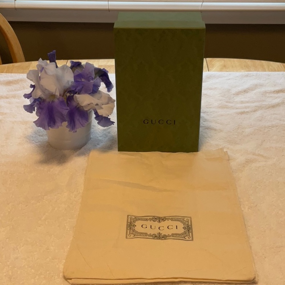 🌱 GUCCI BOX & BAG 🌱 NWOT🌱